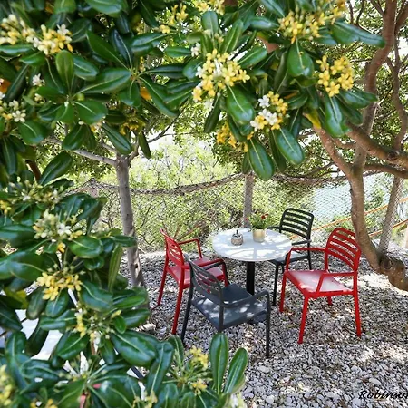 Robinson House Jogo 게스트하우스