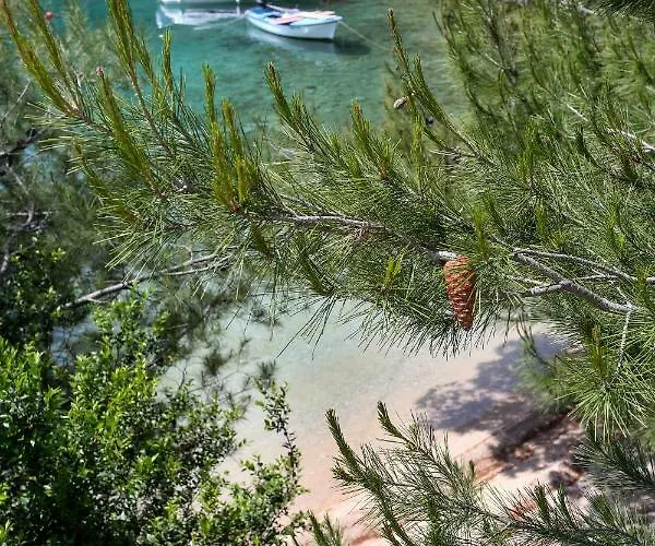 Robinson House Jogo Pensjonat